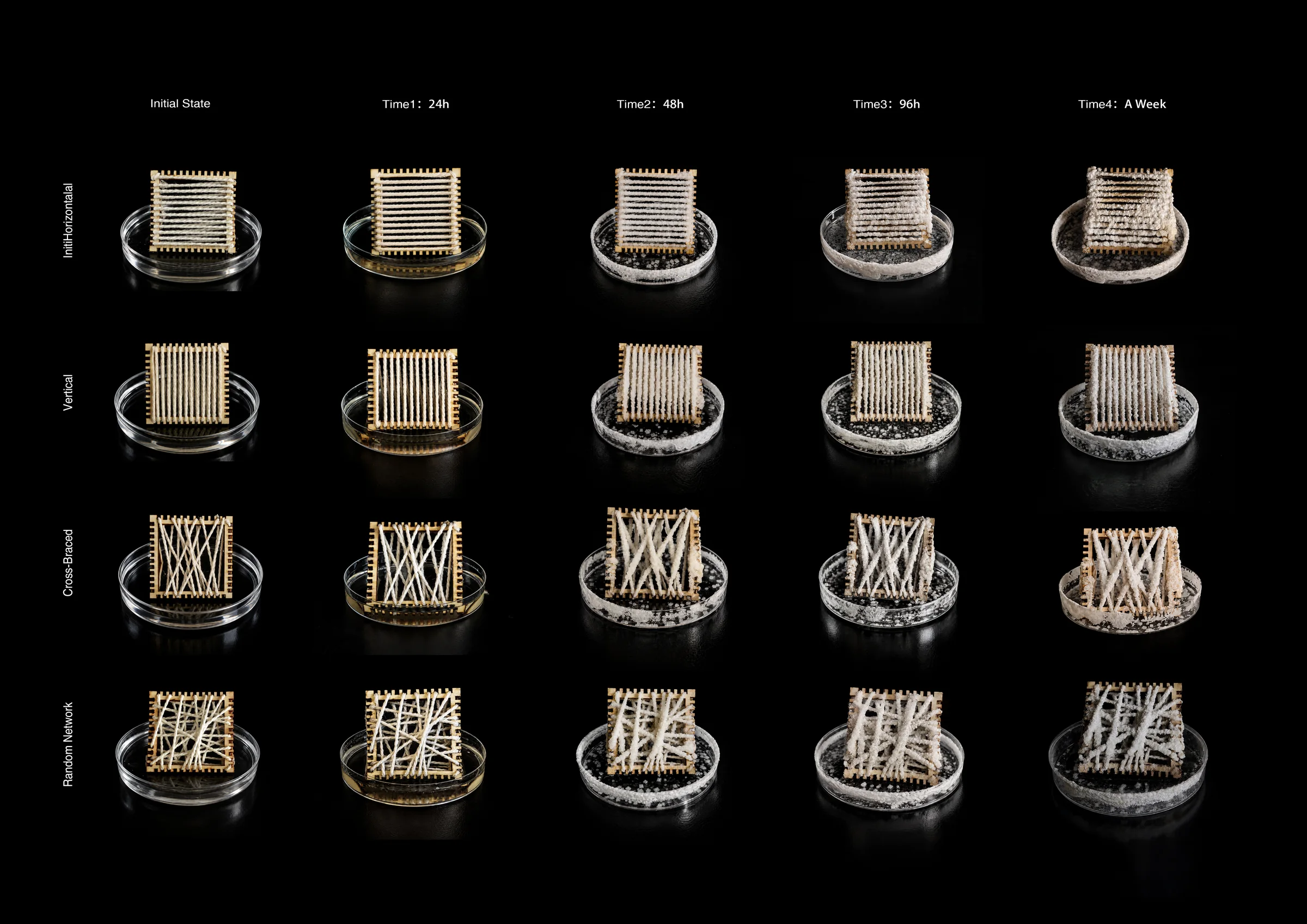 Four weaving geometries from initial state to one week